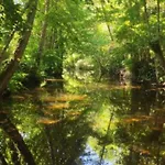 Mobil-home 2 Avec Terrasse - Api-1-52-1740 Kemping Belmont-sur-Rance