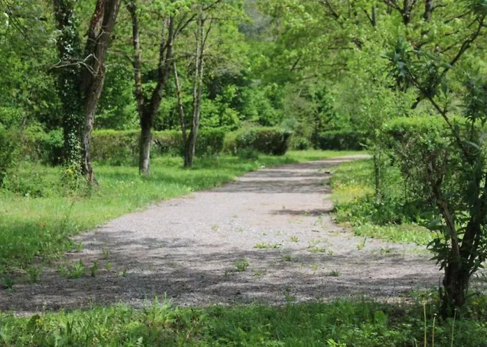 Campeggio Mobil-home 2 Avec Terrasse - Api-1-52-1740 Belmont-sur-Rance