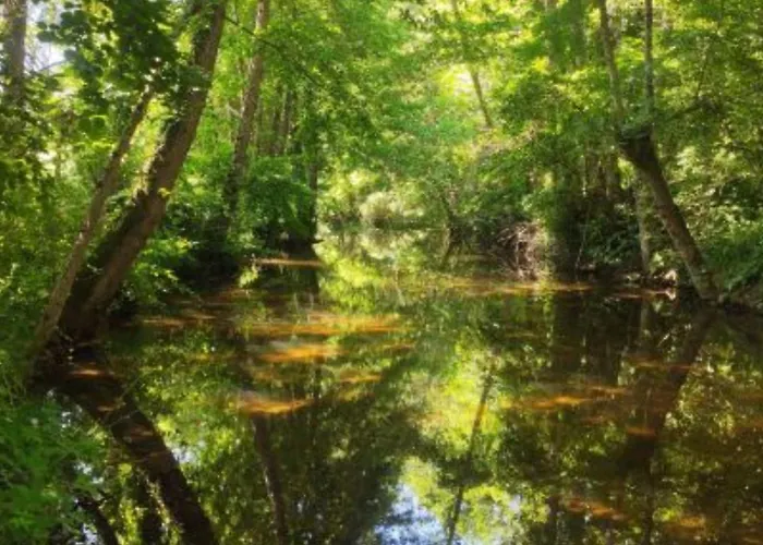 Mobil-home 2 Avec Terrasse - Api-1-52-1740 Campeggio Belmont-sur-Rance